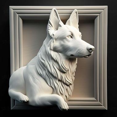 3D model White Swiss Shepherd dog (STL)